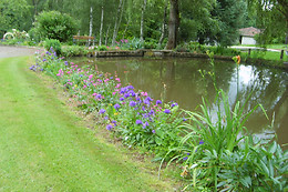 Chambres d'hôtes mille fleurs